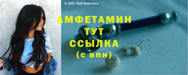 крисы Осташков