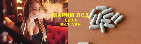 ГАЛЛЮЦИНОГЕННЫЕ ГРИБЫ Абаза