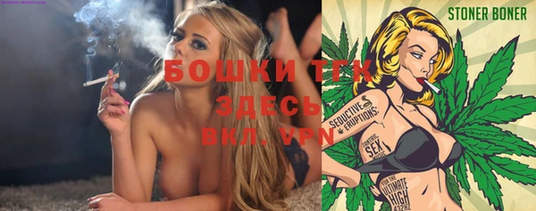 крисы Осташков