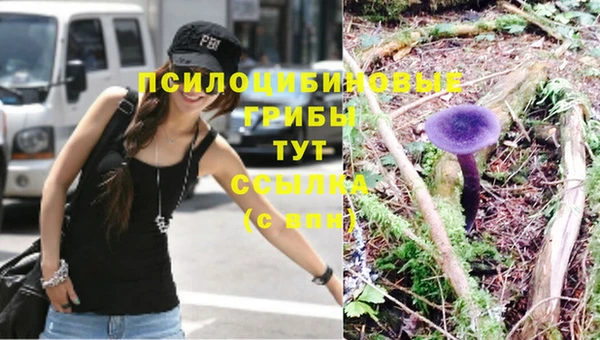 первитин Осинники