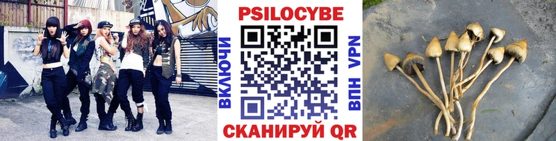 kraken   Тулун  Галлюциногенные грибы мицелий 