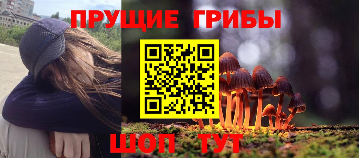 Псилоцибиновые грибы ЛСД  Вход с VPN  Тулун 